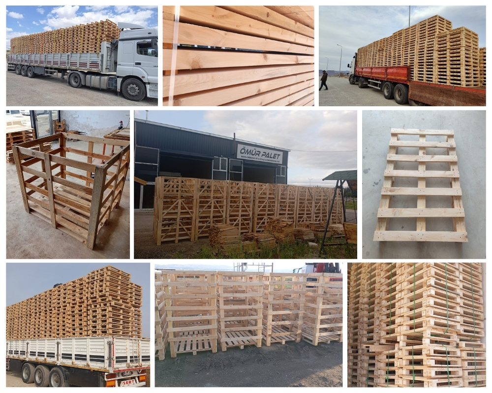Hollington Wooden Pallets, Buy Wooden Pallets Wholesale